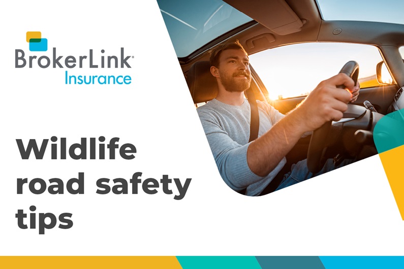BrokerLink Wildlife Road Safety