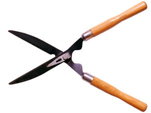 Shears---web