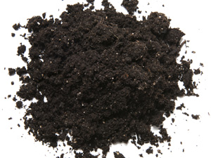 Soil---web